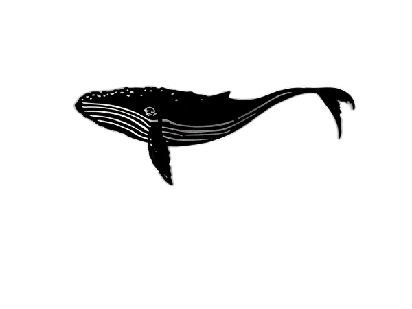 A detailed 21-inch Humpback Whale wall art piece crafted from 16-gauge steel with a black-painted finish. Intricate cutouts highlight the whale's natural ridges and fins. It includes a sturdy wall bracket for easy hanging, shown against a plain surface.